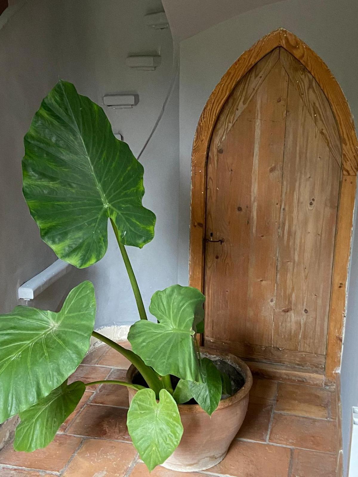 Cabannes Mas Carita Bed & Breakfast エクステリア 写真
